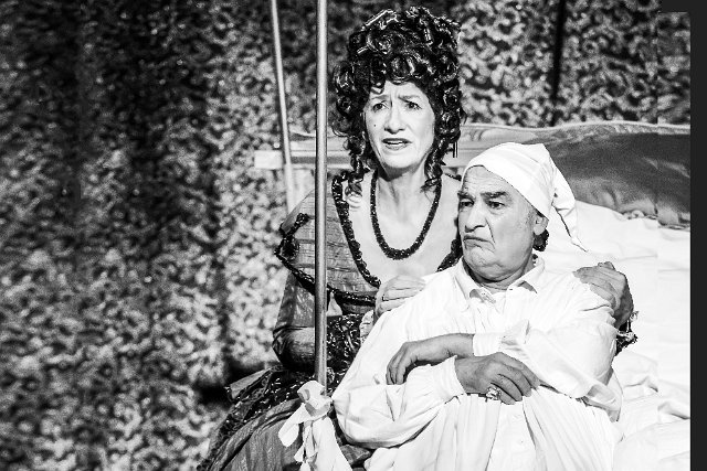 Der eingebildete Kranke (17) 